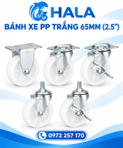 Bánh xe PP Trắng 65mm (2.5")